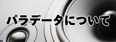 パラデータについて